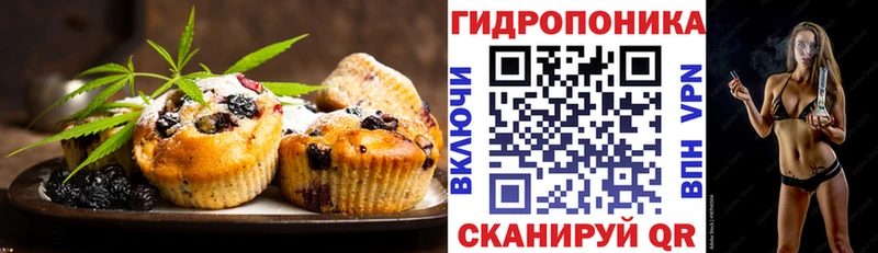 наркота  блэк спрут как войти  Cannafood конопля  Медынь 