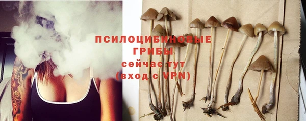 spice Белокуриха