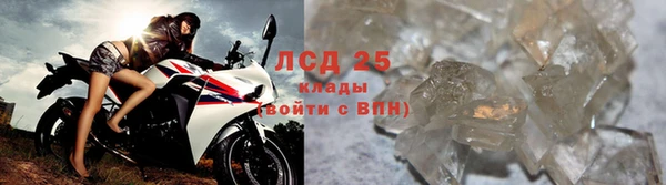 spice Белокуриха