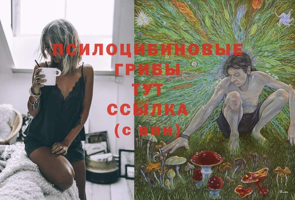 spice Белокуриха