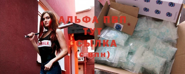 spice Белокуриха